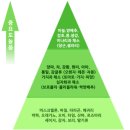 디지푸드