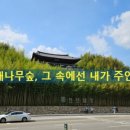 죽녹원특산품편의점