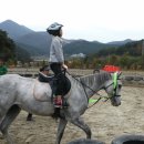 동부초율포분교 이미지