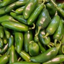 따순농장 이미지