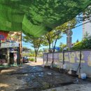 애니카랜드도림점 이미지