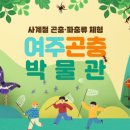 곤충박물관 네이버블로그