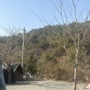 자연애 | 나주 자연애스토리 캠핑장 선착순 사이트 내돈내산 이용 후기