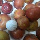 한경팜 | 사과값 폭등 틈새, 당근마켓 농산물 사기 주의보: '저 같은 피해자 없길 바랍니다'