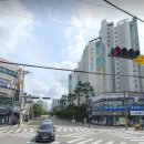 신트리약국 이미지