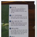 공기마을 편백나무숲