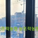 성서상회