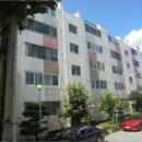 사파동100 이미지