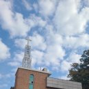 영축산순환산책로(유아숲) 이미지