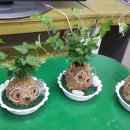 선부종합사회복지관 이미지