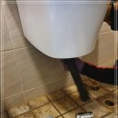 광암동 화장실 이미지