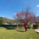 이층민박 이미지