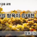 10월 26일(목) 아합의 탐욕이 잉태한 죄악! 이미지