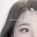 안경나라(용암점) 네이버블로그