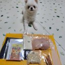 멍테일즈 이미지