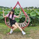 웰빙댄스스포츠 이미지