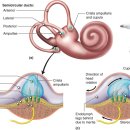 서진영신경과의원 이미지