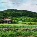 경동로(서) 네이버블로그