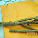 홍천약초건강원
