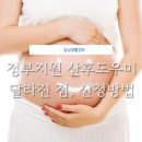 마터피아용인 이미지