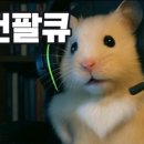 앤유PC카페 이미지