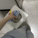 참사리맛집 | 어쩌다 맛집을 찾아버림