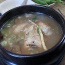 하울참옻닭