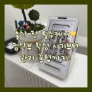 에이에스엠케이(주)-제195호 | 임산부 왁싱 시기부터 왁싱 후 관리방법까지 수원광교 라벨르왁싱 후기