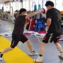 다윗복싱다이어트 이미지