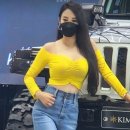 새실 이미지