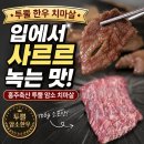 홍주축산 | 진테릭스푸드 홍주축산 투뿔 한우 치마살, 입에서 사르르 녹았던 암소 한우 후기