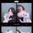 꽃길 걷는 고양이 이미지