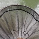 연정낚시터 이미지