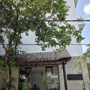 호텔블리스(BLISS) | 발리 우붓 시내 숙소 추천 사바나블리스 조식 내돈내산 후기