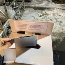 김종완 | [NELL] 제발 끝내지 말아 줘요 계속 노래를 불러줘요. 2023 넬스룸 막콘 후기 (김종완 생일 축하해)