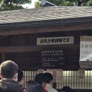 미인고로케 | [오사카 여행 3박 4일] 2일차 01. - 교토 투어버스 라쿠 투어 후기, 규동(소고기 덮밥) 스키야에서 아침