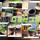박세리가 한국 팝업스토어에 1순위로 입점 시킬거라는 미국의 한 커피 브랜드.jpg 이미지