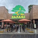 한국쿄와기린(주) | 여행] 푸꾸옥 가족 자유여행 북부 코스 &#34;빈펄사파리 푸꾸옥&#34; 오픈런 소요시간/주트램위치/사파리/기린식당