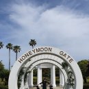 엉덩물횟집 이미지