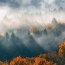 신백중학교 이미지