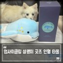 삼일방직 | 바다를 살리는 귀여운 돌고래 인형과 타올, 플라스틱 업사이클링 상괭이 굿즈