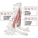 신중동 PT 추천 | 일호핏 신중동점에서 스포츠의학 전문 선생님께 체형교정 제대로 받고 온 후기