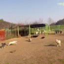 HOTEL 4월 2일 이미지