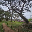 삼산 소공원 이미지