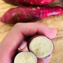 유프레시 이미지