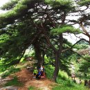 옥순봉길 이미지