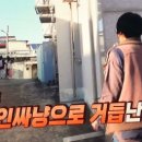 호동이농장 이미지