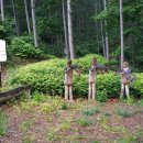 정기코스 이미지