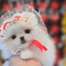 신우플러스원 이미지