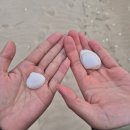 (주)휴노 | 대전 전마투 상담후기 중구 선화동 엠에이피 심리상담 교육센터